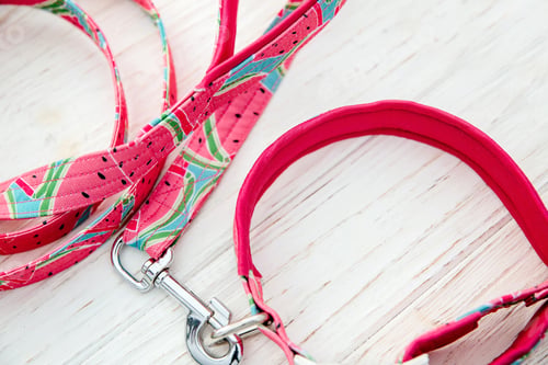 Preview: Dog Collar and Leash set. Pet Supplies and Walking Gear Collection