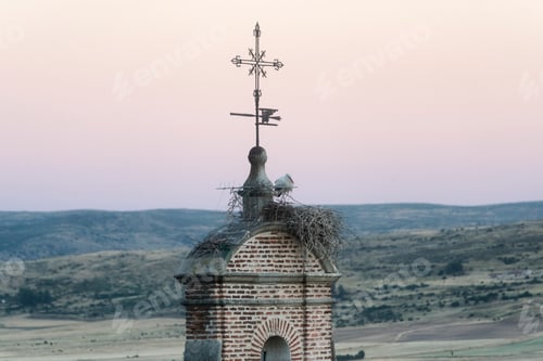 Preview: Avila (Castilla y Leon, Spain): stork in the nest