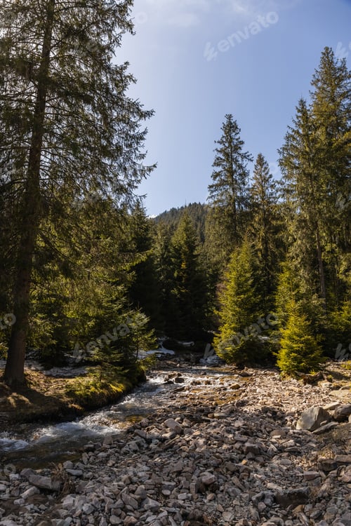 Preview: Stones on shore near river and mountain forest