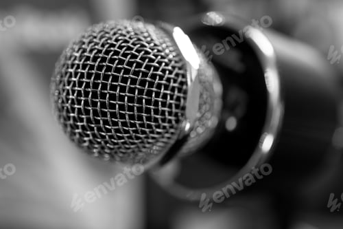 Preview: The iron mesh adds style and reliability to it. A necessary tool for singing