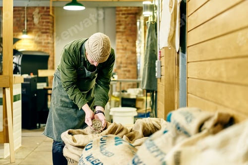 Vista previa: Propietario de cafetería masculino revisando granos de café crudos en el almacén