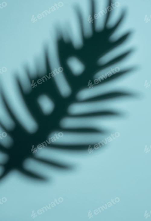 Preview: Abstract Shadow of a Tropical Leaf on a Light Blue Background in Soft Focus