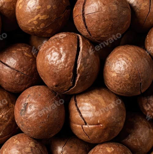 Preview: Macadamia nuts forming a textured background