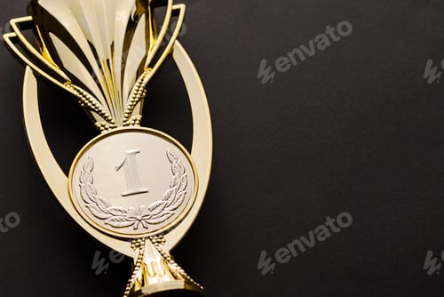 Preview: Gold medallion award for a first place or win