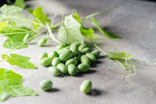 Preview: Cucamelon, Melothria scabra