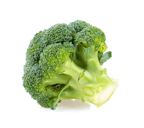 Preview: Broccoli isolated on white background