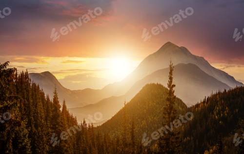 Preview: Sunset landscape with high peaks and foggy valley with autumn spruce forest under vibrant colorful