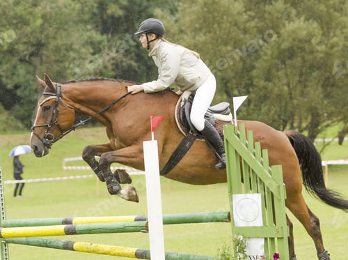 Preview: Show Jumping
