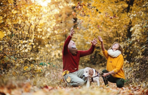 Preview: A senior couple with a dog in an autumn nature at sunset, having fun.