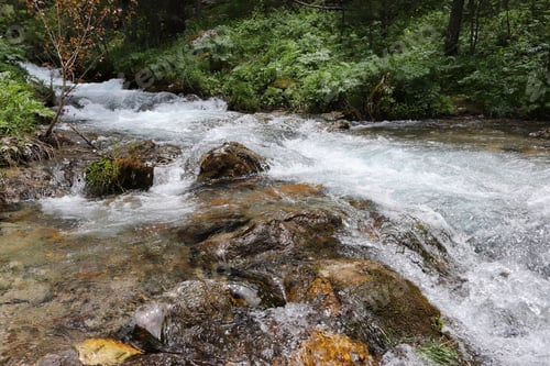 Preview: Cold waters of a mountain stream