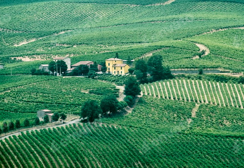 Preview: Oltrepo Piacentino (Italy), rural landscape at summer
