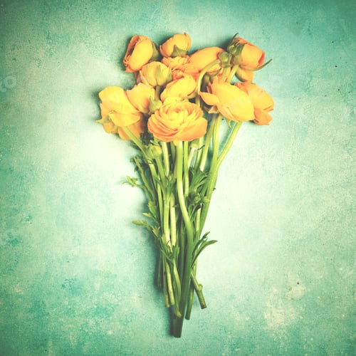 Preview: Yellow ranunculus flowers