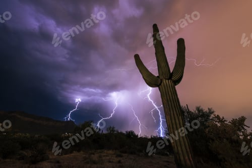 Preview: Sonoran Thunderstorm