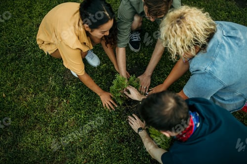 Preview: Group of friends planting a tree together, volunteering for nature