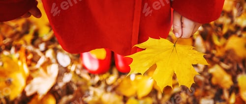 Preview: nature