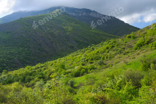 Preview: Forest mountain ridges, landscapes series, Crimea, Ukraine