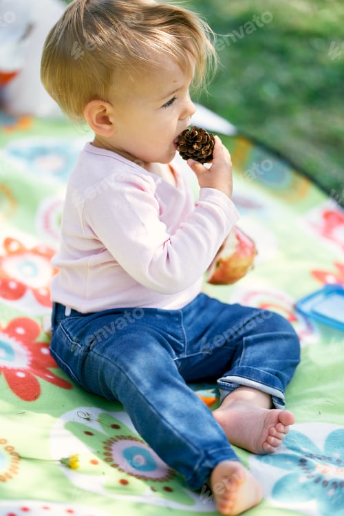 Preview: Little girl sits on a colored blanket on a green lawn and gnaws a pine cone. Close-up. Side view