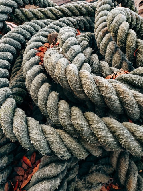 Preview: Twisted rope on autumn leaves background