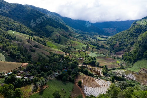Preview: Terraced rice paddy field in Chiang Mai, Thailand.
