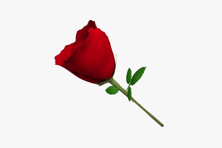 Preview: Red rose with stem and leaves