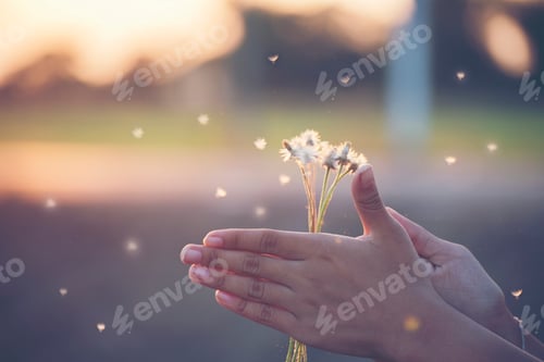 Preview: Close up of young teenage girl playing with grasses field on the sunset.teenagers girl having fun.
