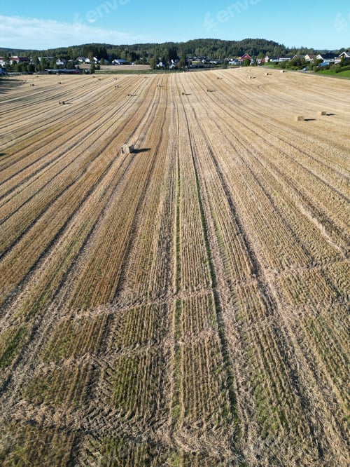Preview: Aerial view of harvested wheat field with hay bales and village.