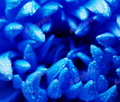 Preview: Blue flower