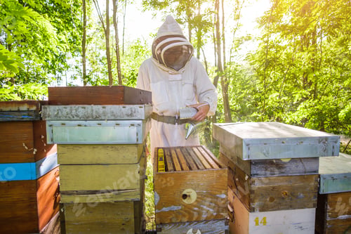 Preview: Beekeeper
