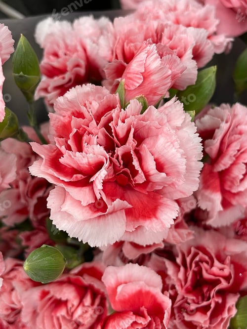 Preview: Flower