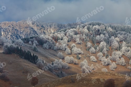 Preview: winter landscape