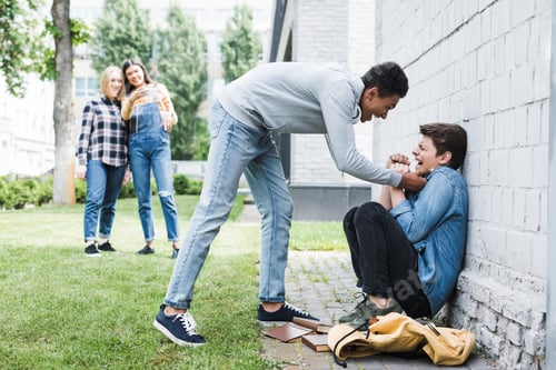 Preview: african american boy in hoodie and jeans bulling boy and teenager shooting it