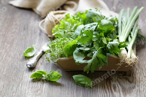 Preview: Organic Fragrant Herbs