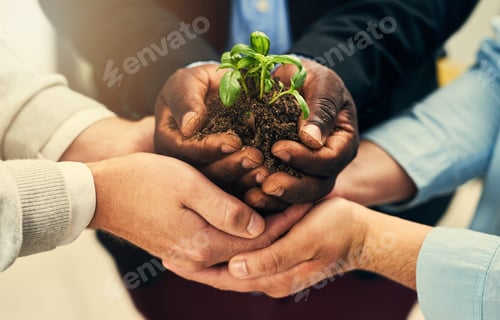 Preview: Cropped shot of a group of businesspeople holding plants growing out of soil