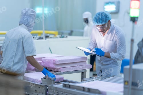 Preview: quality control inspector in a food processing facility monitors production