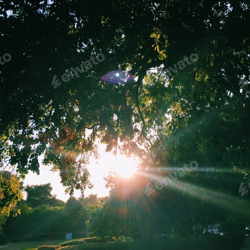 Preview: Golden hour