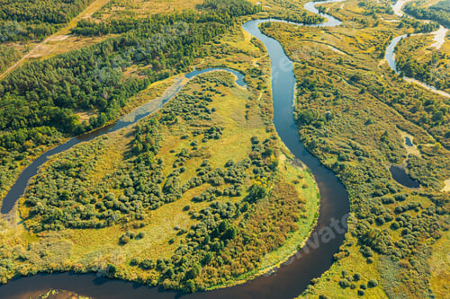 Preview: Aerial View Green Forest Woods And River Landscape In Sunny Spring Summer Day. Top View Of Beautiful