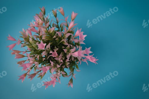Preview: Top view of pink flower isolated on a blue background