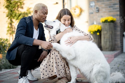Preview: Multiracial couple caress dog near their house