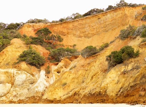 Preview: Eroded cliff and beach, Point Addis National Park, Anglesea, Australia