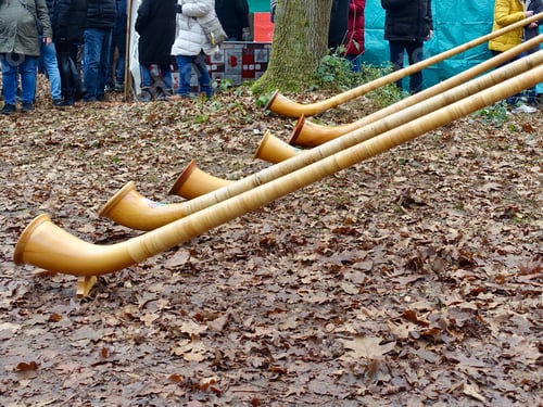 Preview: Alphorns at cultural festival on autumn leaves.