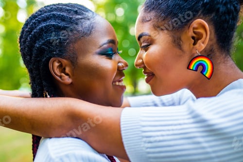 Preview: happy african american one gender couple in love dating outdoors in summer park