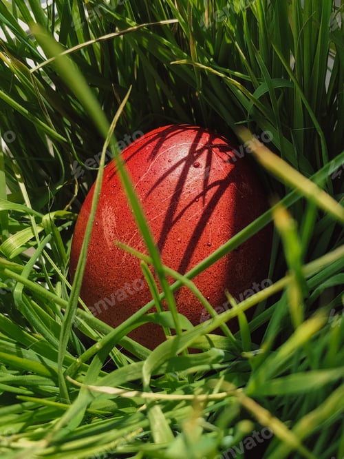 Preview: Easter. a painted egg lies in fresh green grass