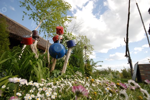 Preview: Scenic view of a garden with flowers and bowls hanging from wooden sticks