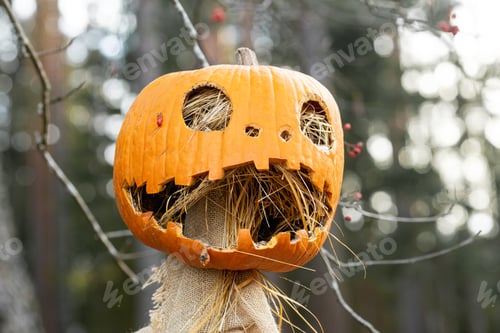 Preview: halloween pumpkin scarecrow on natural background