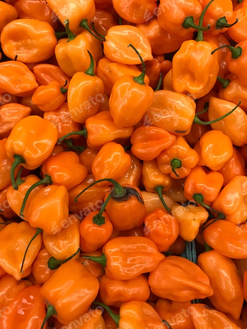 Preview: Orange peppers
