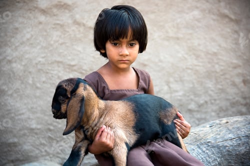 Preview: Happy rural Indian girl with baby of goat