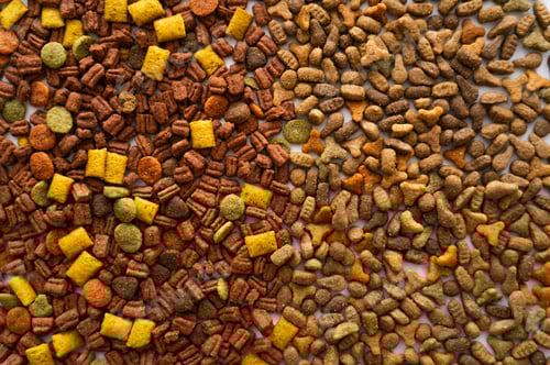 Preview: top view of dry pet food in different shapes as background