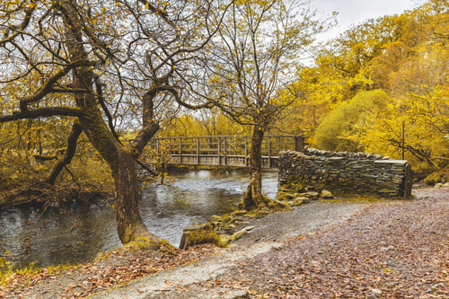 Preview: Bridge over a creek in the wood, autumn scene