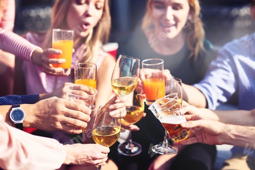 Preview: Cheerful friends enjoying drinks at the party
