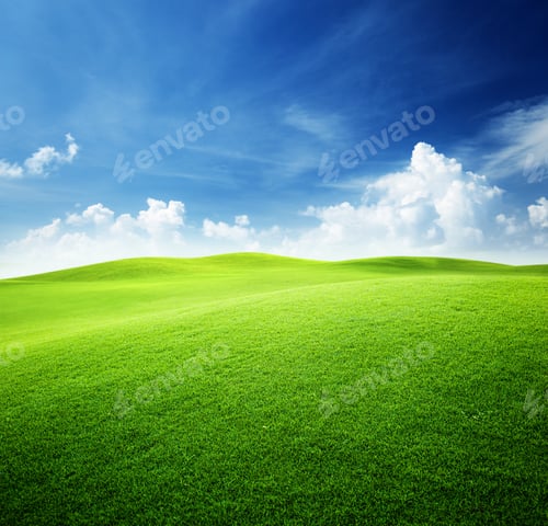 Preview: Green Field And Blue Sky